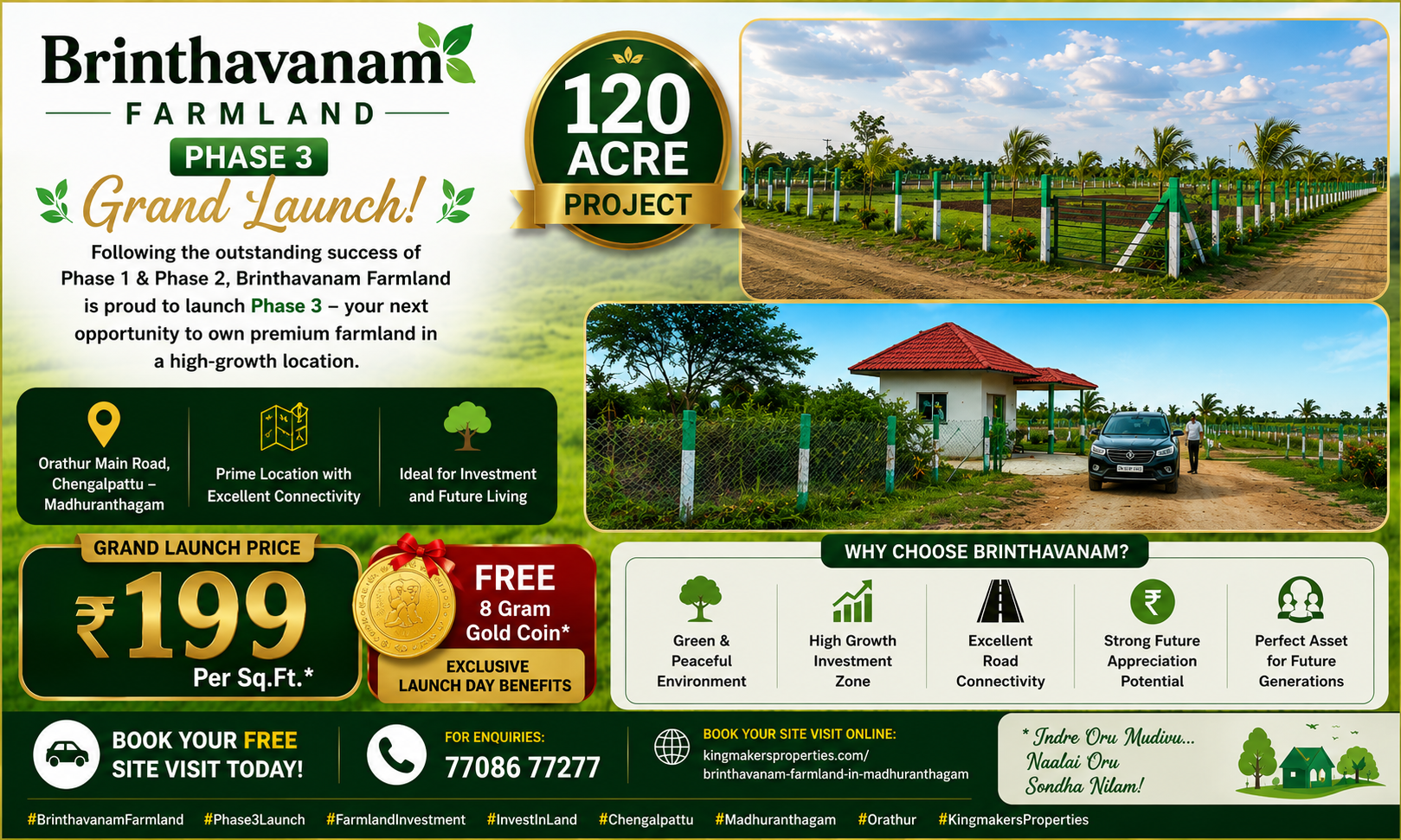 Mango County Resort Farmland